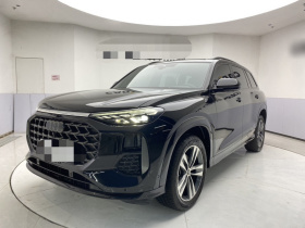 奥迪Q6 2024款 45 TFSI quattro 齐云型 飞骑套装 7座