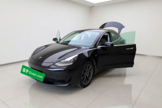 特斯拉 Model 3 2019款 标准续航后驱升级版