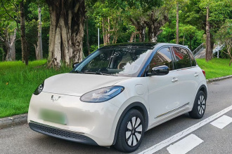 五菱汽车 五菱缤果 2024款 333km 灵犀互联款