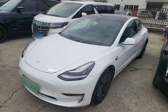 特斯拉 Model 3(进口) 2019款 长续航后驱版