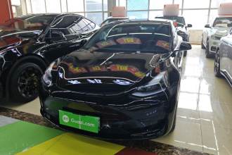 特斯拉 Model 3 2022款 后轮驱动版