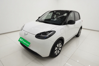 五菱汽车 五菱缤果 2023款 333km 悦享款