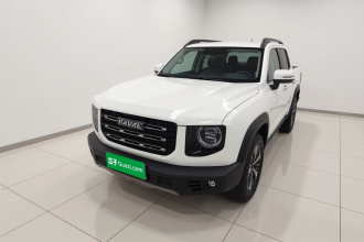 哈弗大狗 2022款 1.5T DCT两驱拉布拉多版