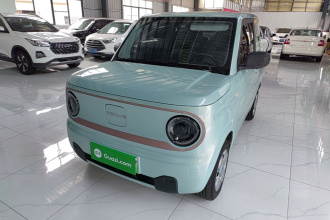 吉利银河 2024款 熊猫mini 200km 耐力熊