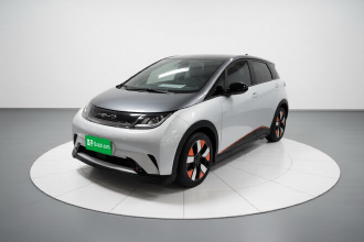 比亚迪 海豚 2021款 401km 骑士版