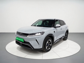 比亚迪 元UP 2025款 智驾版 401KM 领先型