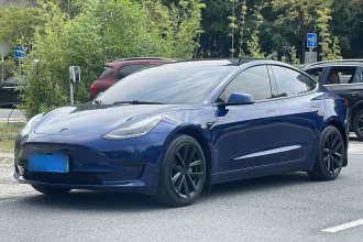 特斯拉 Model 3 2020款 标准续航后驱升级版