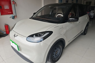 五菱汽车 五菱缤果 2023款 410km 灵犀尊享款