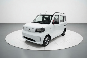 五菱汽车 五菱之光新能源 2025款 305km 进取型