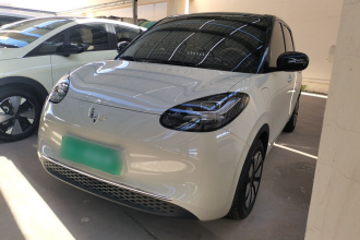 五菱汽车 五菱缤果 2024款 333km 悦享款