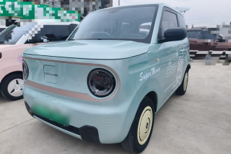 吉利银河 2023款 熊猫mini 200km 耐力熊