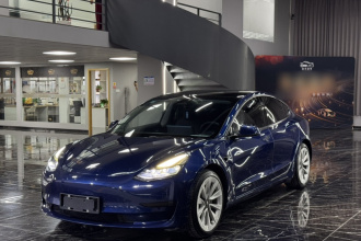 特斯拉 Model 3 2021款 标准续航后驱升级版 3D6