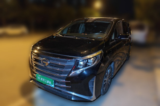 广汽传祺 传祺M8 2021款 领秀系列 390T 至尊版