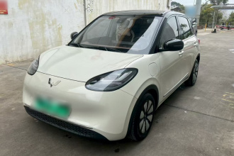 五菱汽车 五菱缤果 2023款 333km 悦享+款