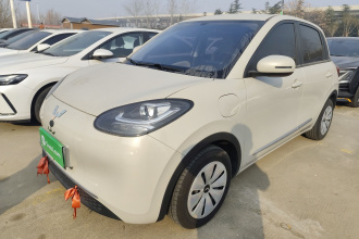 五菱汽车 五菱缤果 2024款 203km 轻享款