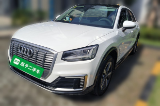 奥迪Q2L e-tron 2019款 Q2L e-tron 纯电智享型