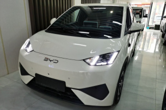 比亚迪 海鸥 2025款 智驾版 305km 自由版