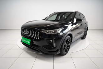 哈弗赤兔 2021款 激擎版 1.5T 铂金兔