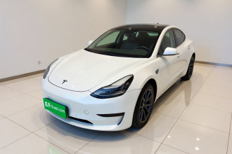 特斯拉 Model 3 2020款 标准续航后驱升级版