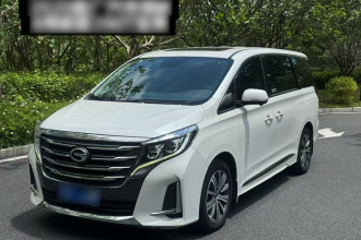 广汽传祺 传祺M8 2020款 领航款 390T 至尊版