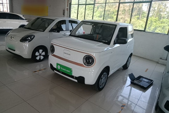 吉利银河 2023款 熊猫mini 200km 耐力熊