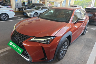 雷克萨斯UX新能源 2020款 300e 纯·享版