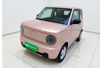 吉利银河 2024款 熊猫mini 200km 耐力熊