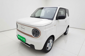 吉利银河 2024款 熊猫mini 200km 耐力熊