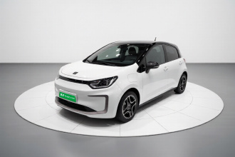 思皓 花仙子 2021款 302km 时尚型 31.4kWh