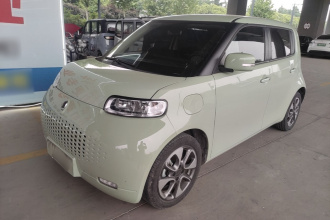 欧拉白猫 2020款 305km 豪华型