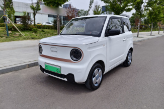 吉利银河 2024款 熊猫mini 200km 耐力熊