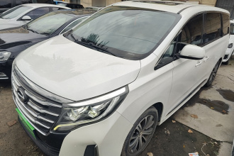 广汽传祺 传祺M8 2020款 领航款 390T 尊贵版