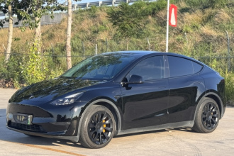 特斯拉 Model Y 2021款 标准续航后驱版