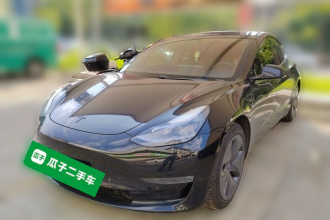 特斯拉 Model 3 2020款 改款 长续航后轮驱动版