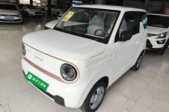 吉利银河 2024款 熊猫mini 200km 耐力熊