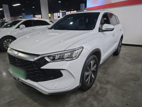 比亚迪 宋Pro新能源 2023款 冠军版 DM-i 71KM超越型