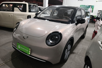 五菱汽车 缤果Pro 2026款 330km 尊享款