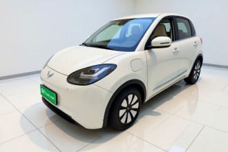 五菱汽车 五菱缤果 2023款 333km 悦享款