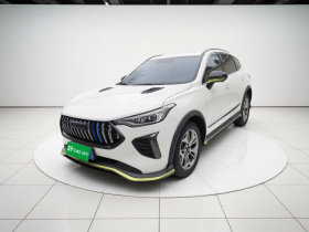 哈弗赤兔 2022款 劲享版 1.5T 紫铜兔