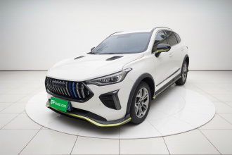 哈弗赤兔 2022款 劲享版 1.5T 紫铜兔