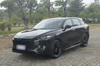 启辰大V 2022款 260T 黑马版·爱豆