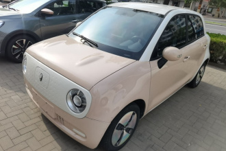 欧拉黑猫 2022款 301km 基础型 三元锂