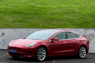 特斯拉 Model 3 2019款 标准续航后驱升级版