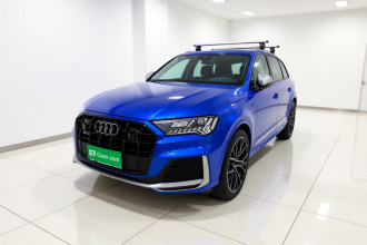 奥迪Q7 2023款 45 TFSI quattro S line运动型