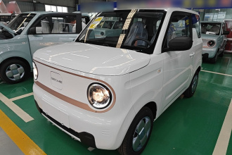 吉利银河 2024款 熊猫mini 200km 龙腾PRO版