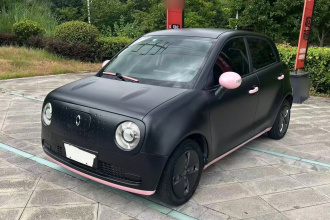 欧拉黑猫 2021款 301km 基础型