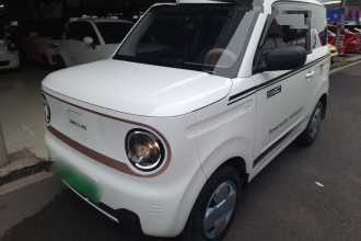 吉利银河 2024款 熊猫mini 200km 耐力熊