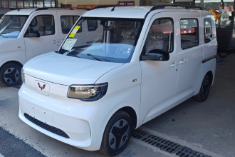 五菱汽车 五菱之光新能源 2025款 305km 进取型