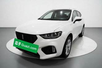 魏牌 VV5 2019款 1.5T 两驱智先锋