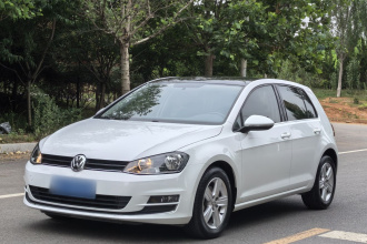 大众 高尔夫 2014款 1.6L 自动舒适型